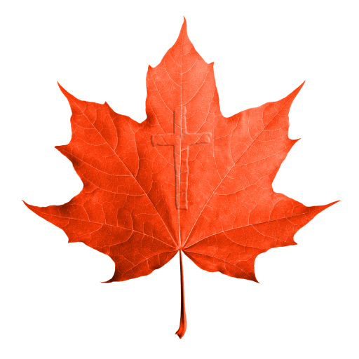 cropped leaf logo transparent 3